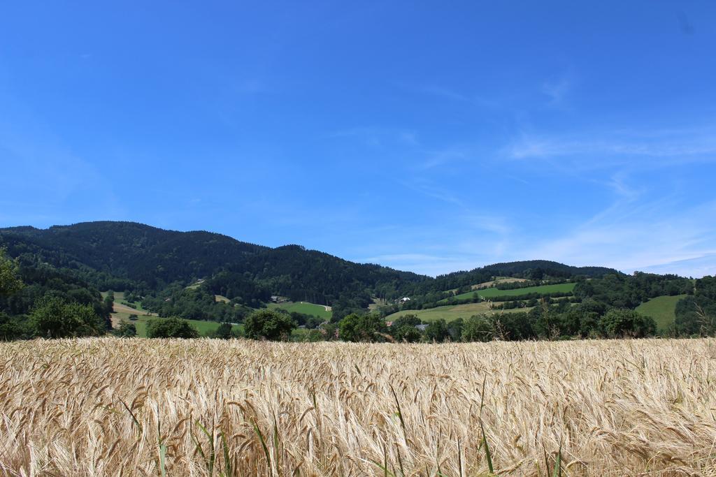 Landgasthof Zum Schuetzen โอเบอร์รีด ภายนอก รูปภาพ