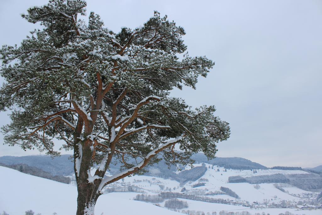 Landgasthof Zum Schuetzen โอเบอร์รีด ภายนอก รูปภาพ