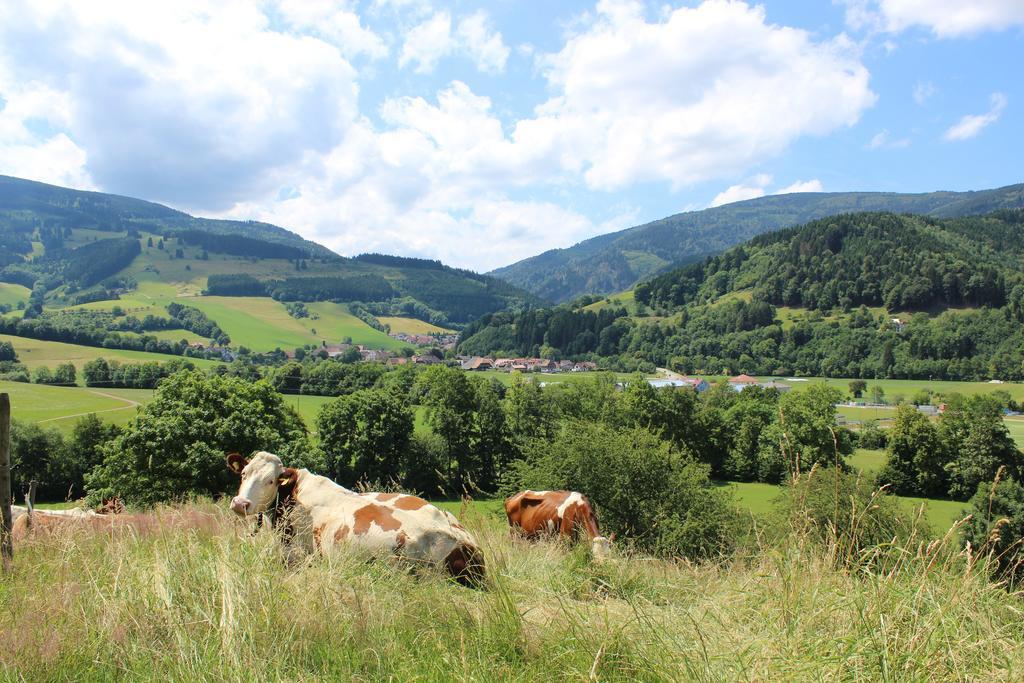 Landgasthof Zum Schuetzen โอเบอร์รีด ภายนอก รูปภาพ